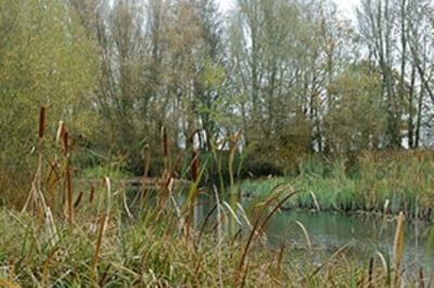 UFTON