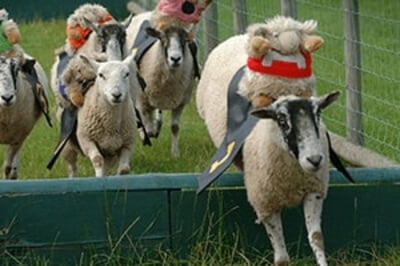 hatton-country-park
